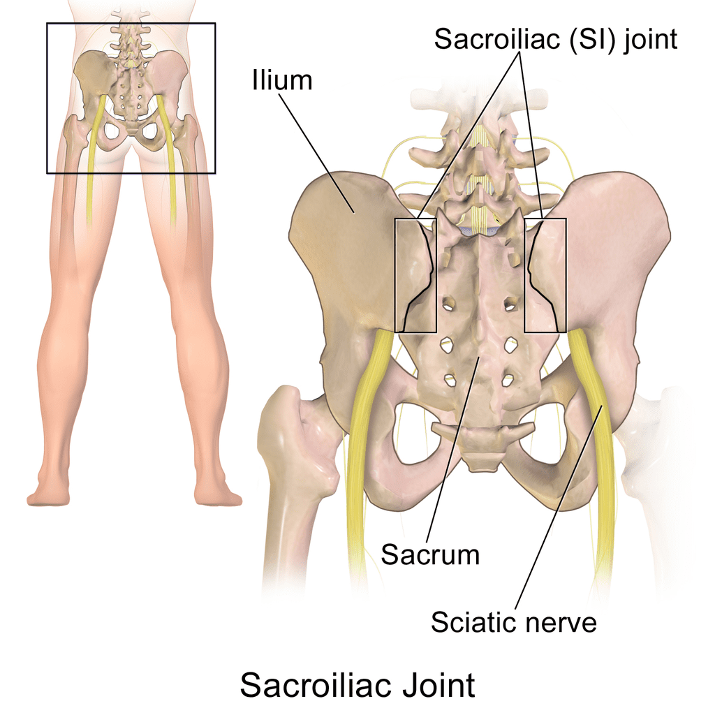 SI Joint