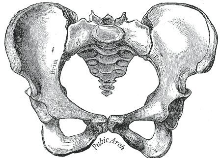 Pelvic pain after childbirth - what is it