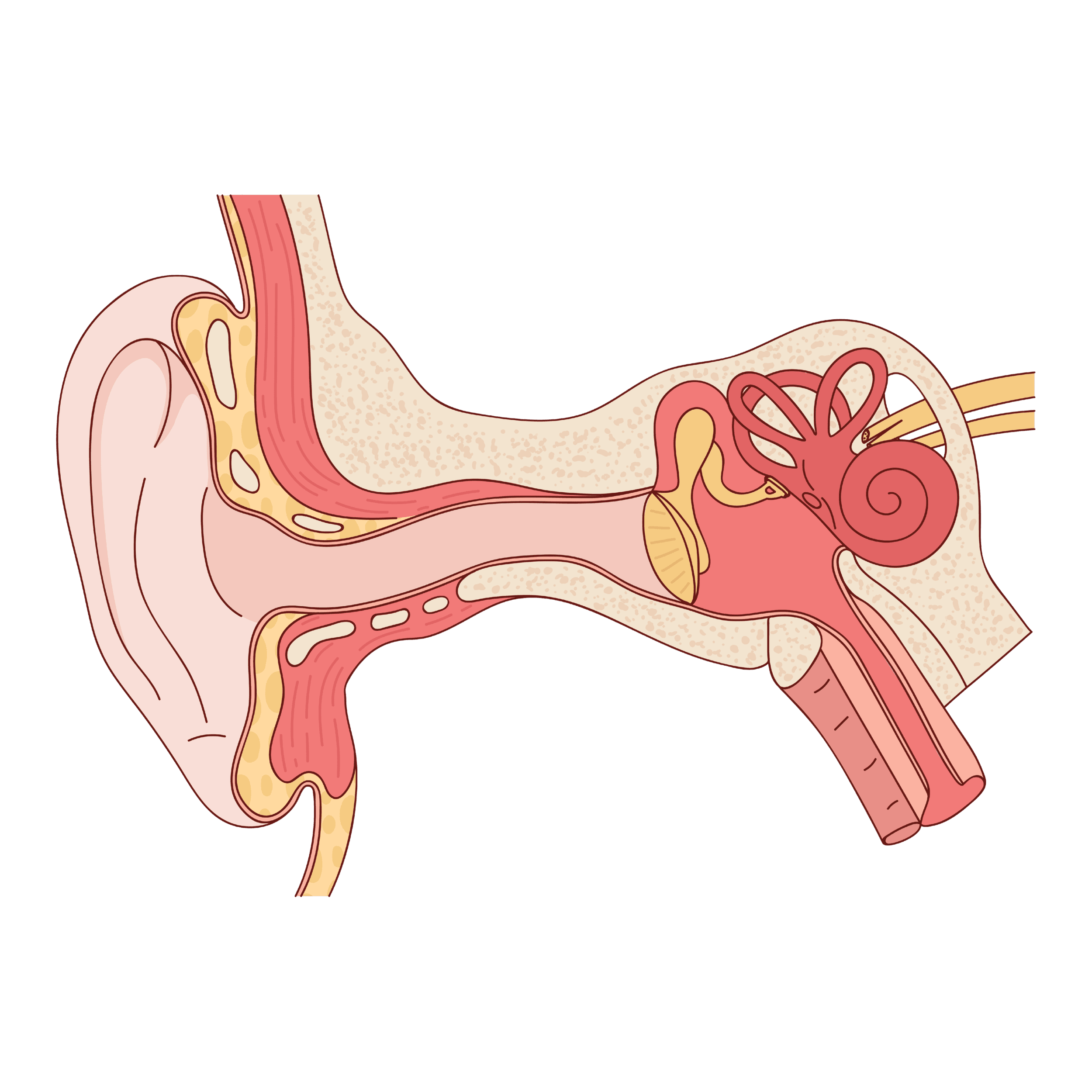 Balance disorder cause